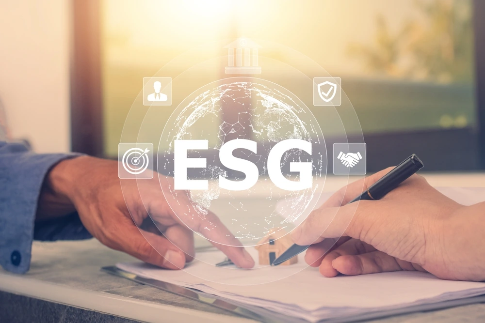 ESG Gap Assessment & Framework Design